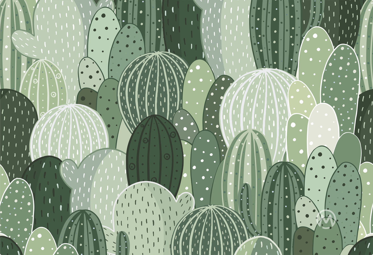 Cacti