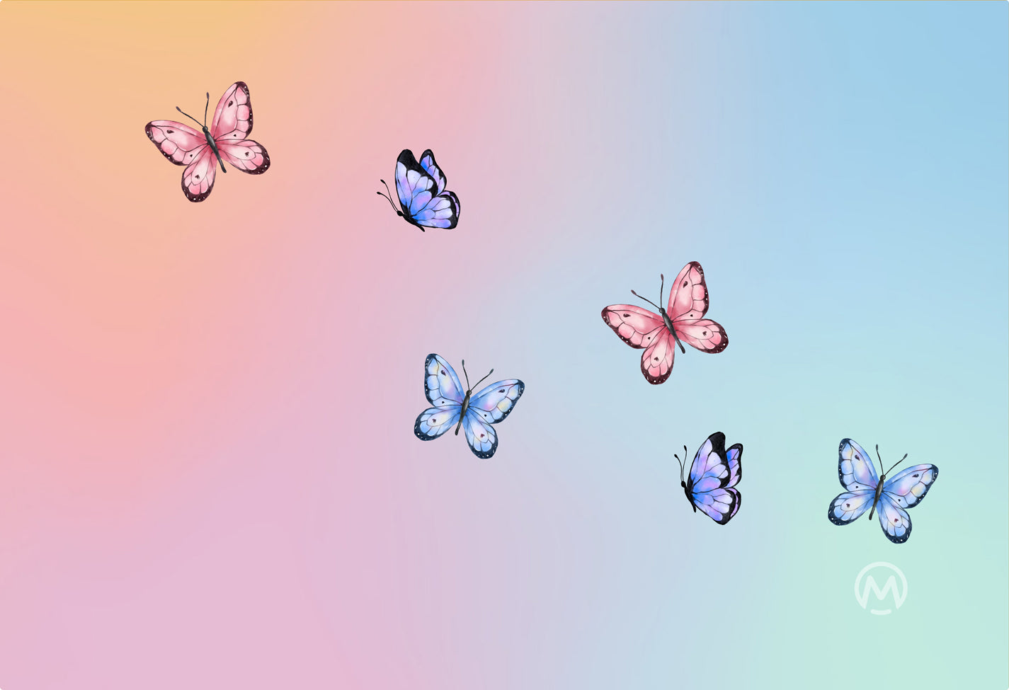 Butterflies
